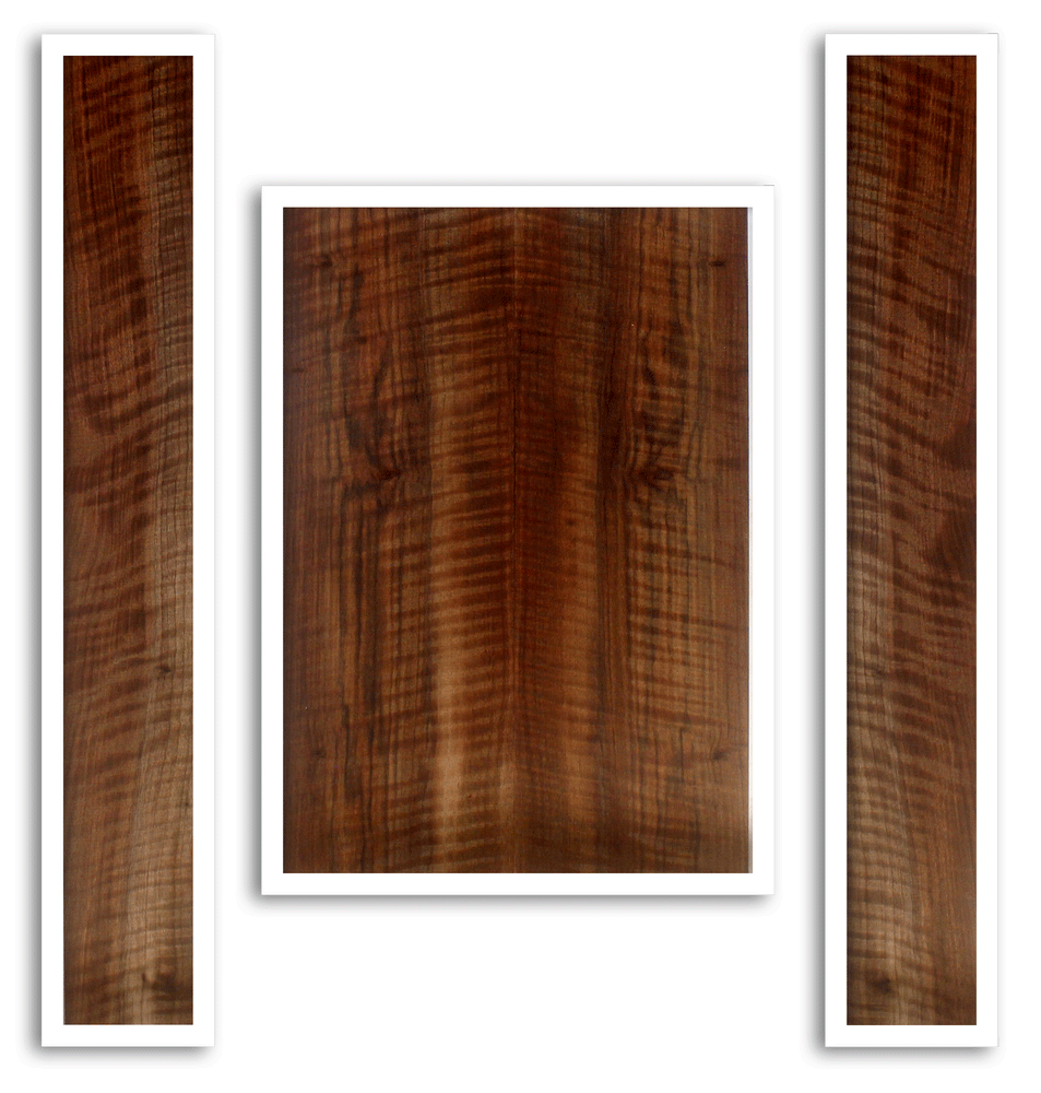 Claro Walnut Acoustic Back and Sides