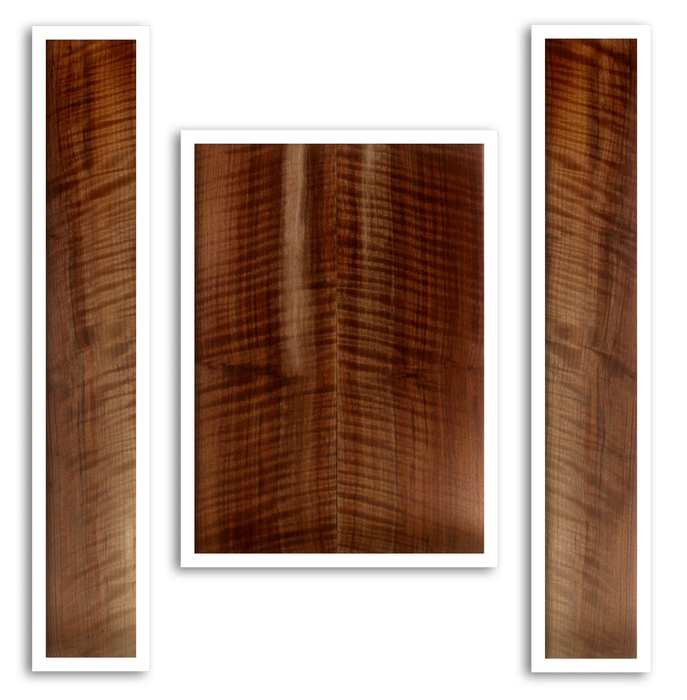 Claro Walnut Acoustic Guitar Back and Sides