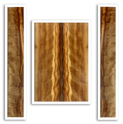 Myrtle Acoustic Guitar Back and Sides