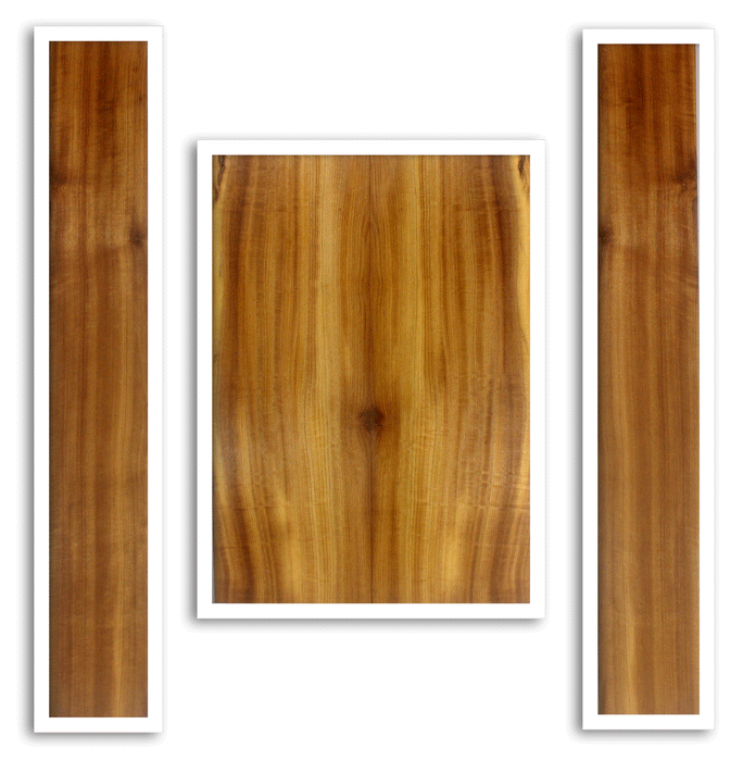 Myrtle Acoustic Guitar Back and Sides