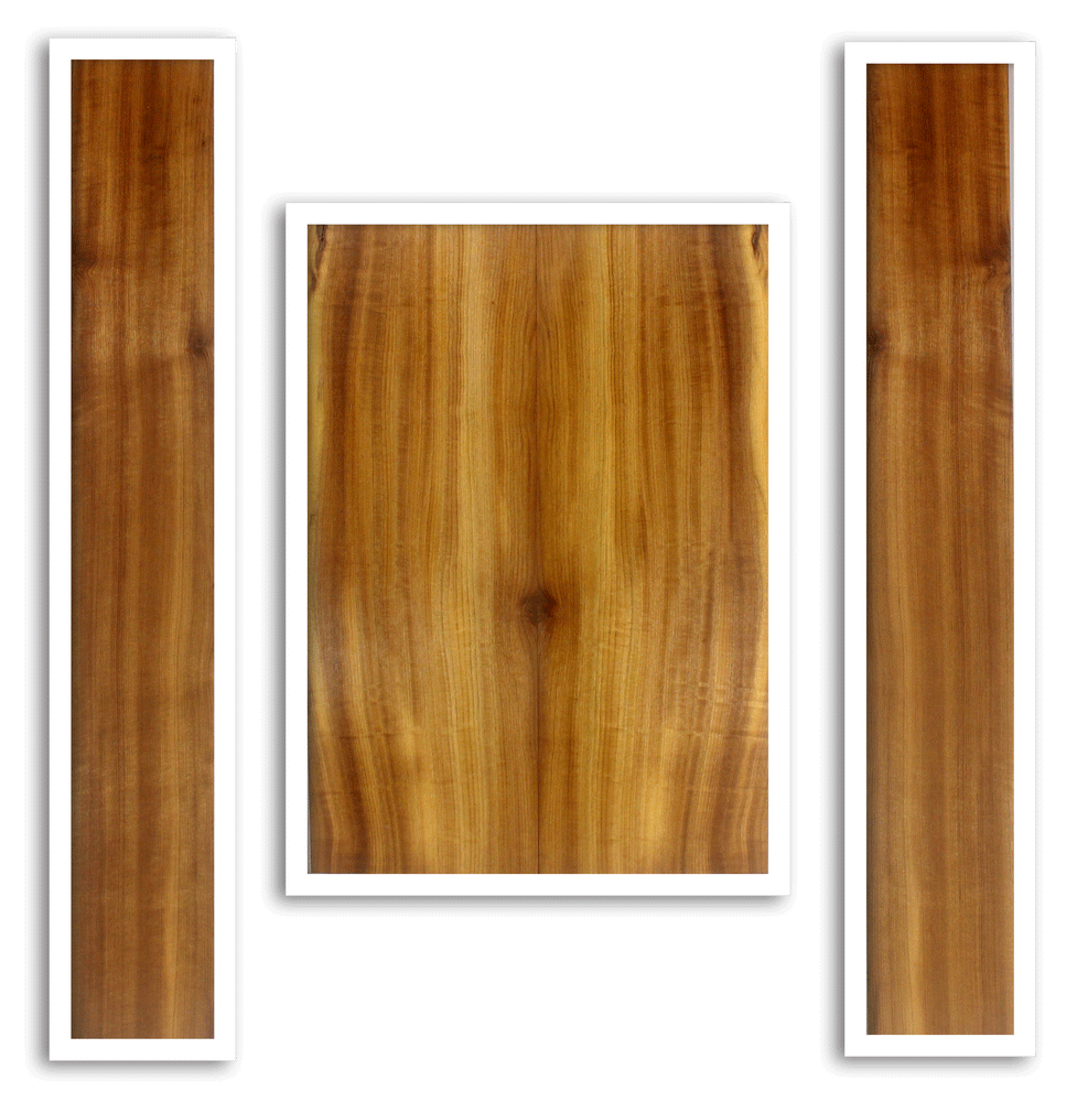 Myrtle Acoustic Guitar Back and Sides