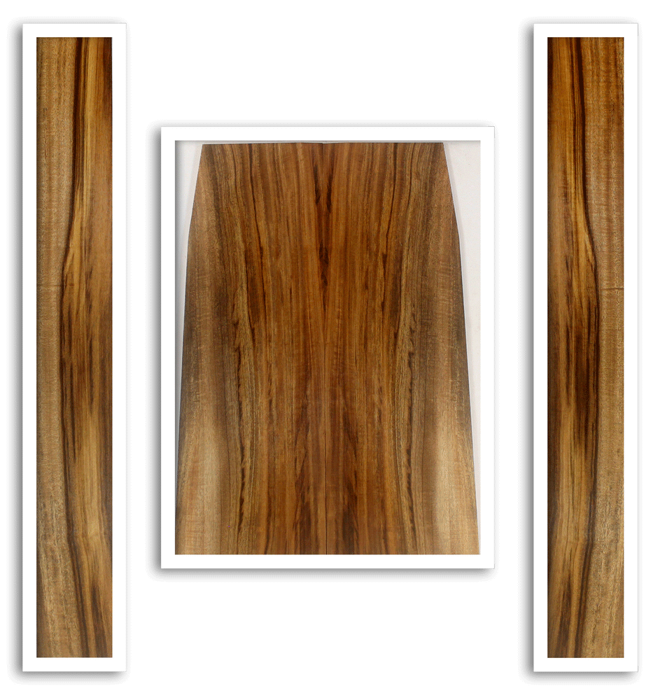 Myrtle Acoustic Guitar Back and Sides