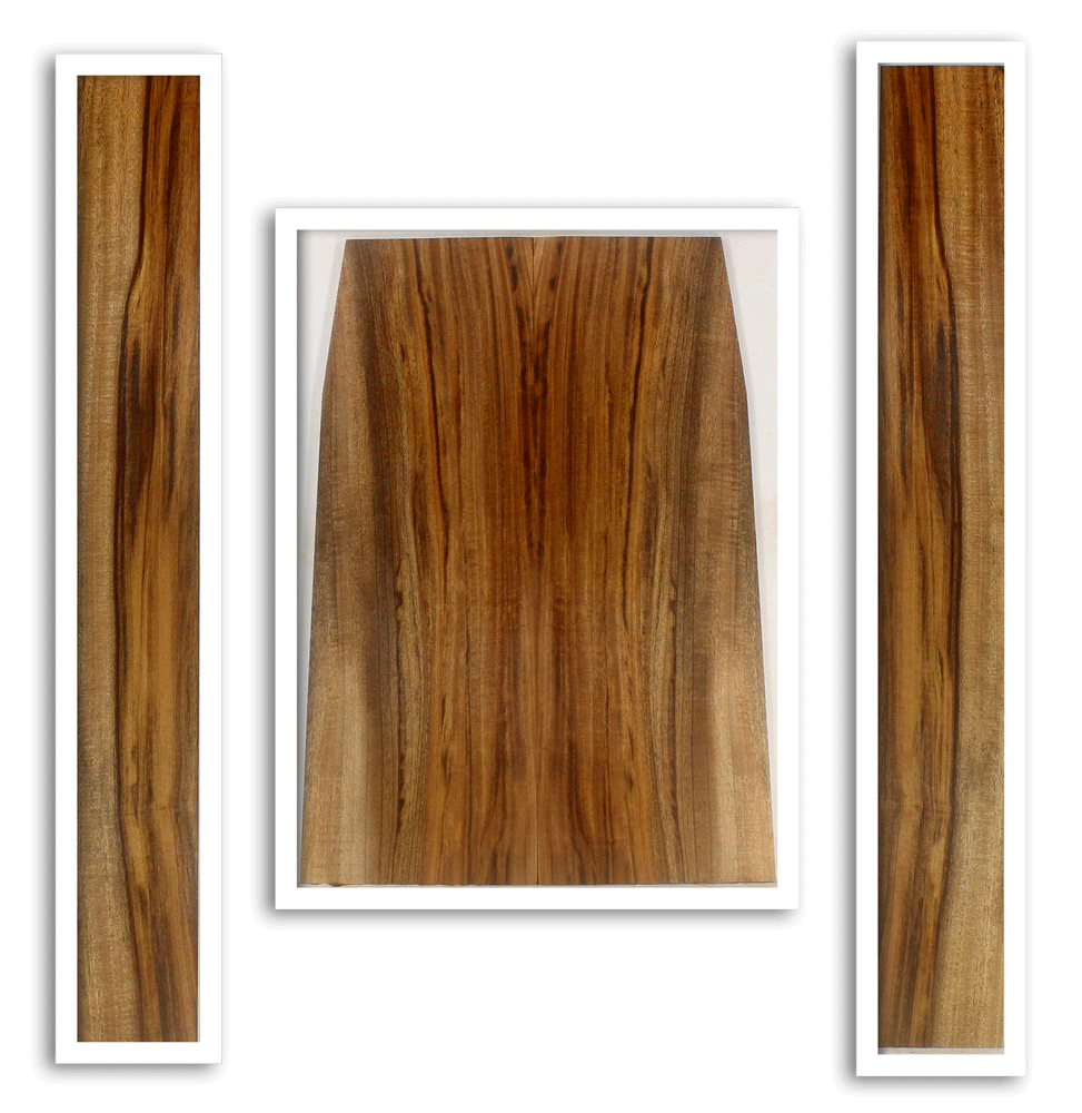 Myrtle Acoustic Guitar Back and Sides