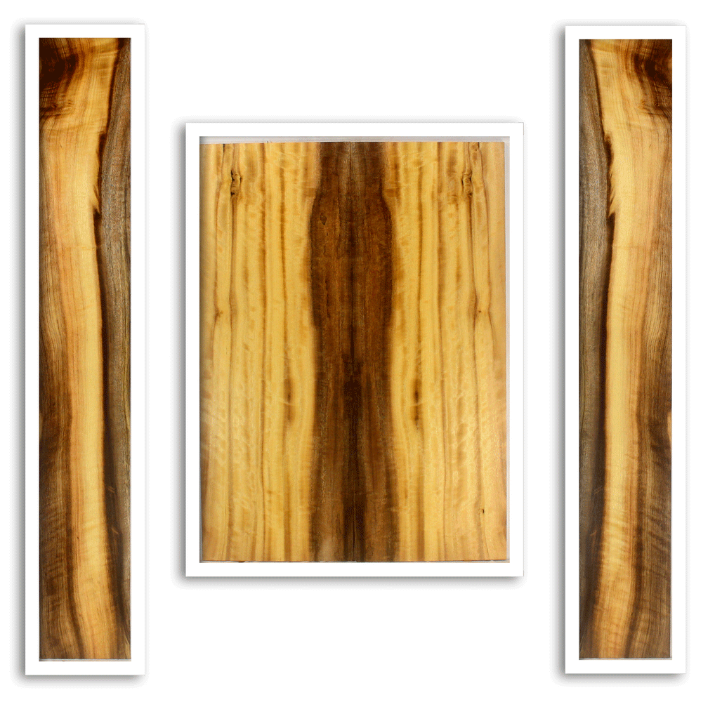 Myrtle Acoustic Back and Sides