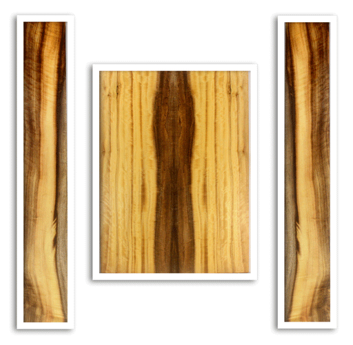 Myrtle Acoustic Back and Sides