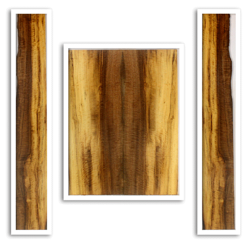 Myrtle Acoustic Back and Sides