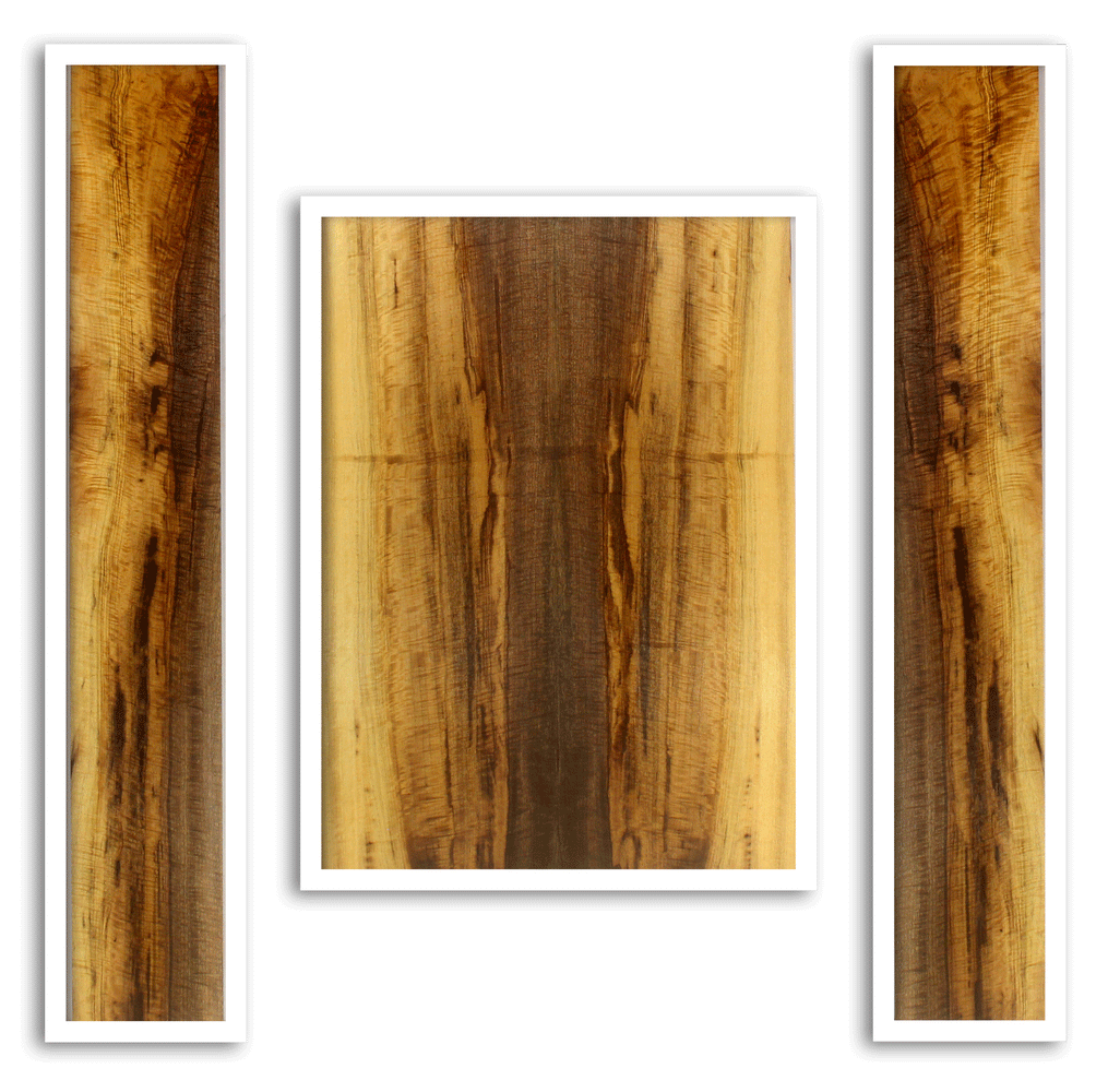 Myrtle Acoustic Back and Sides