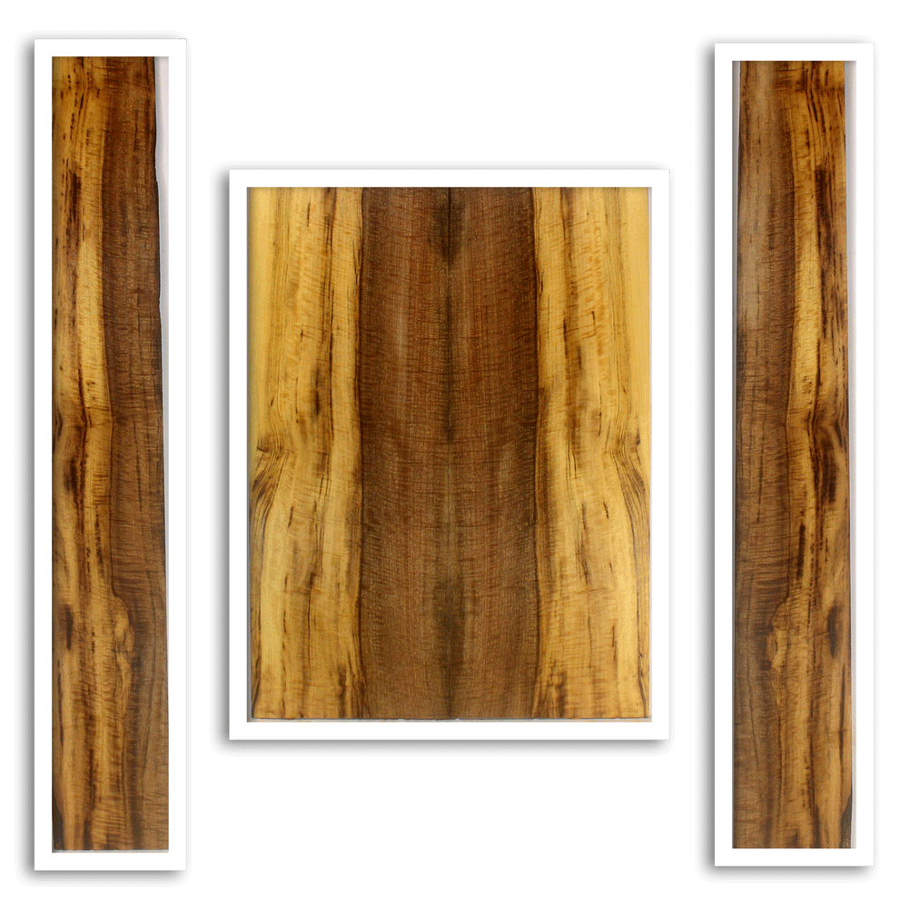 Myrtle Acoustic Back and Sides
