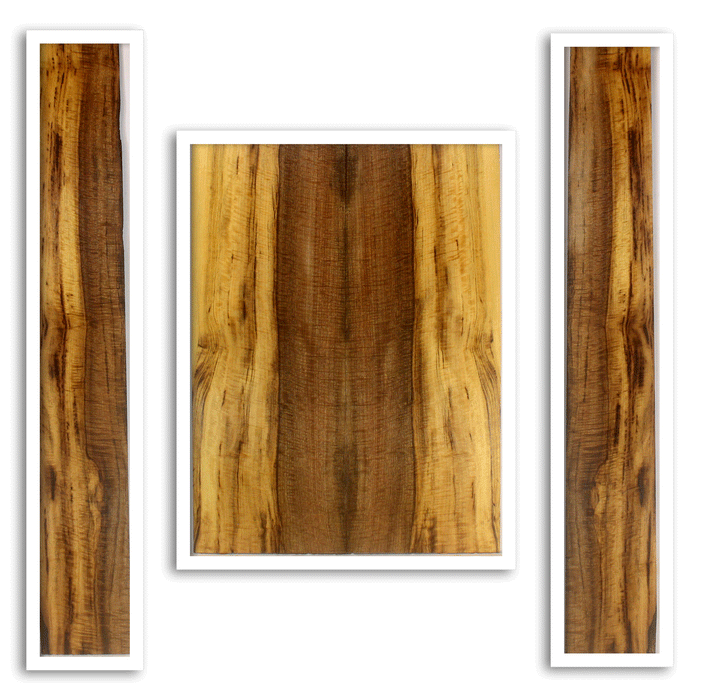 Myrtle Acoustic Back and Sides