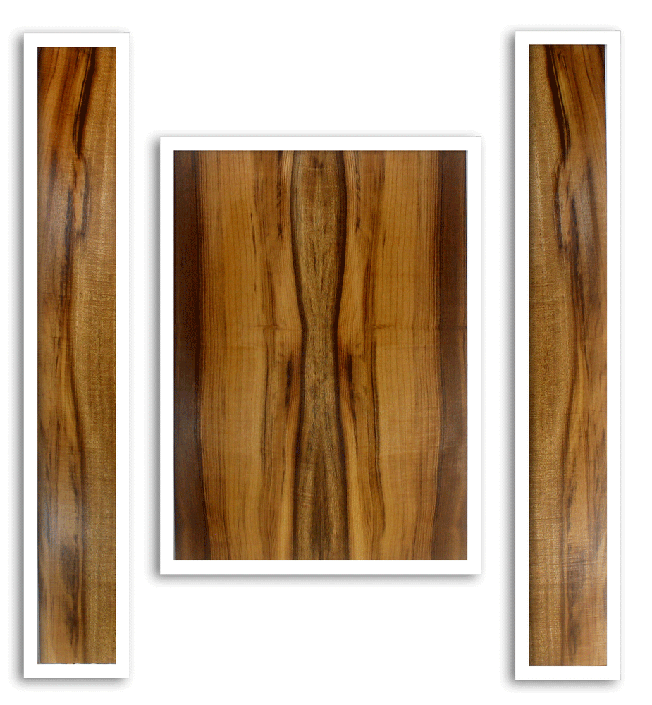 Myrtle Acoustic Guitar Back and Sides