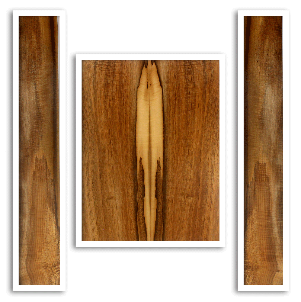 Myrtle Acoustic Guitar Back and Sides