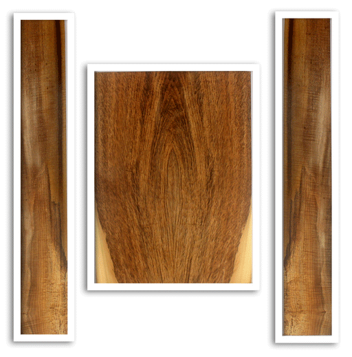 Myrtle Acoustic Guitar Back and Sides