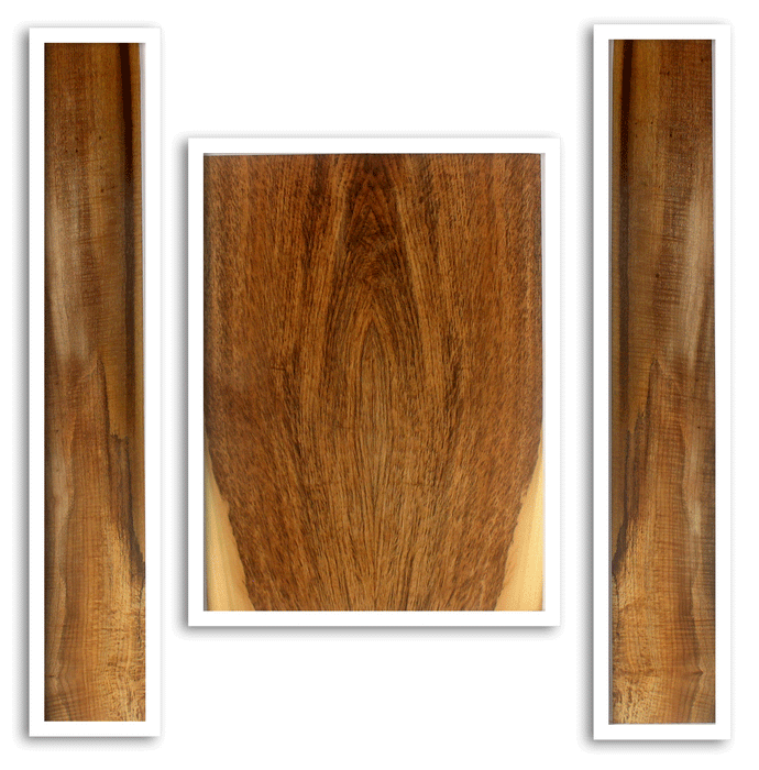 Myrtle Acoustic Guitar Back and Sides