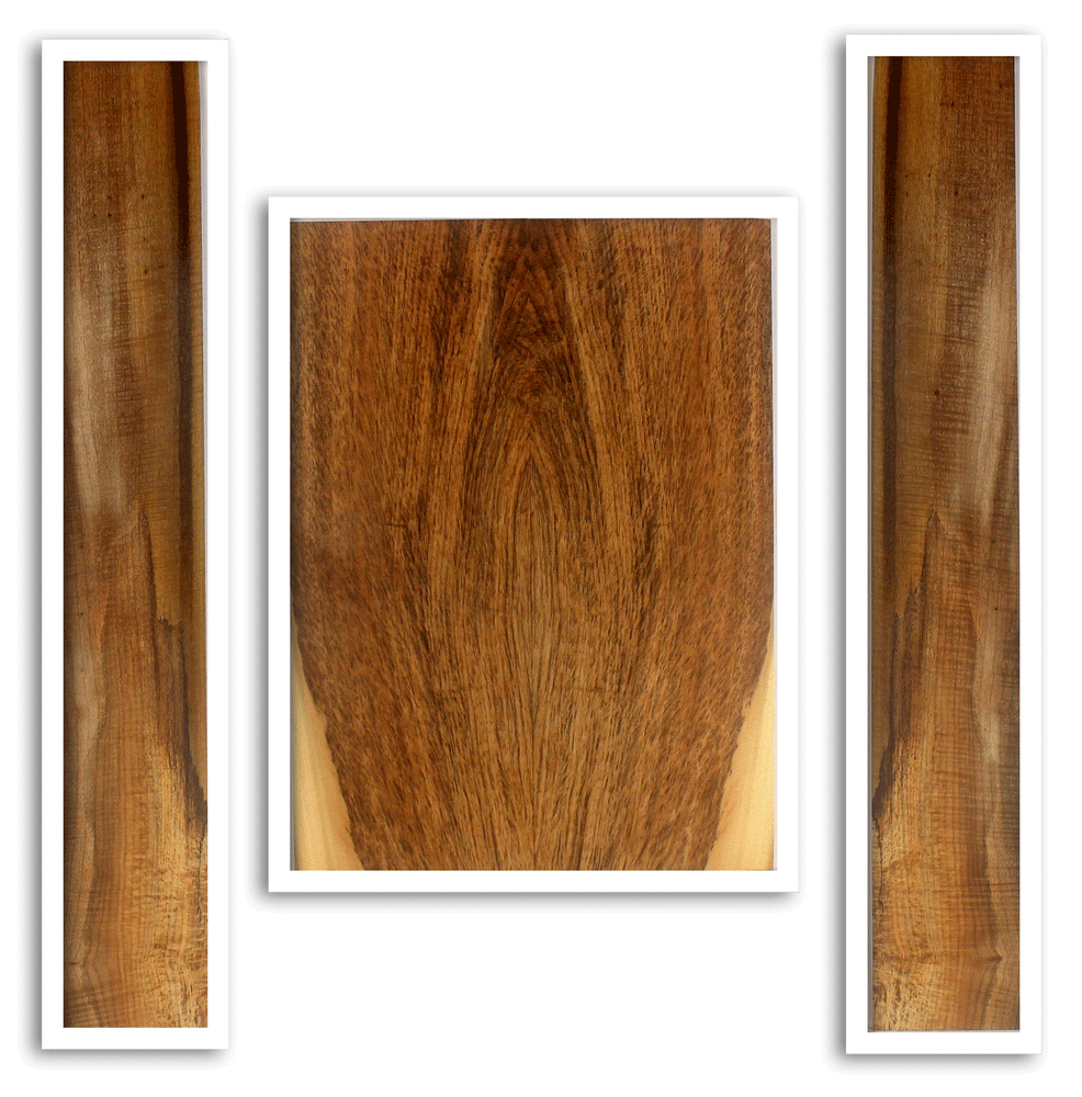 Myrtle Acoustic Guitar Back and Sides