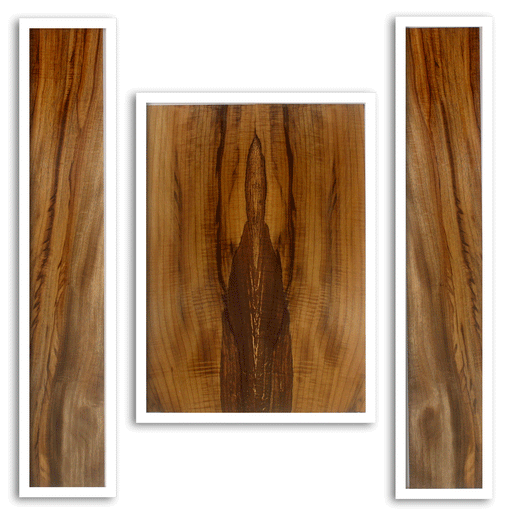 Myrtle Acoustic Guitar Back and Sides