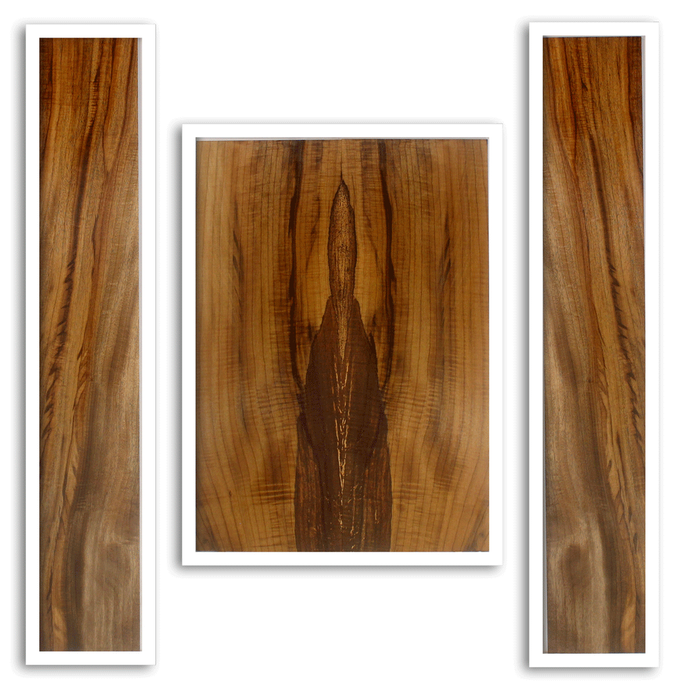 Myrtle Acoustic Guitar Back and Sides