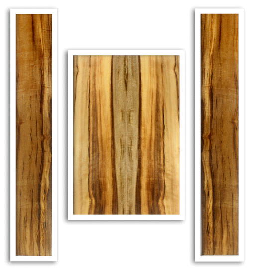 Myrtle Acoustic Guitar Back and Sides
