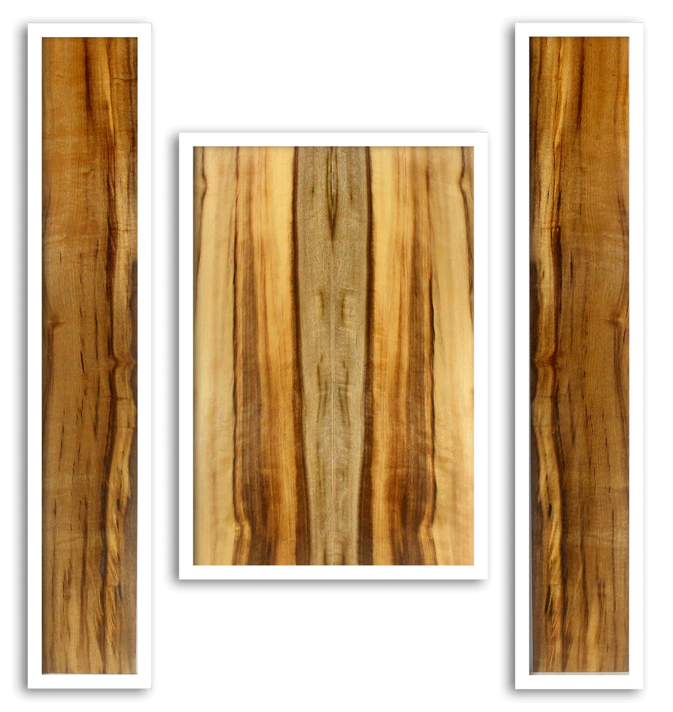 Myrtle Acoustic Guitar Back and Sides