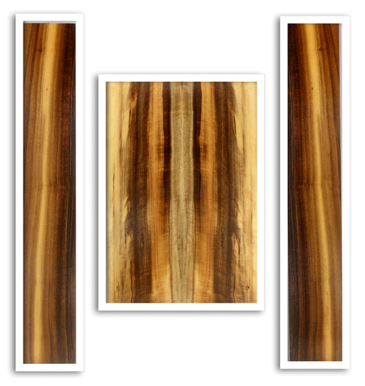 Myrtle Guitar Back and Sides