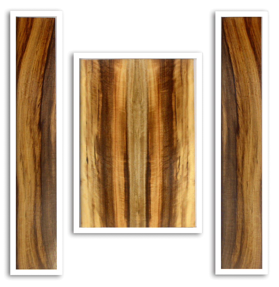 Myrtle Acoustic Back and Sides