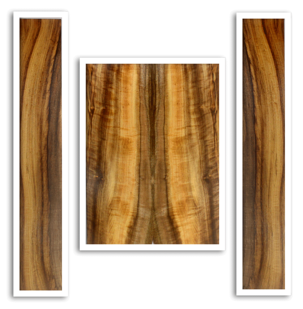 Myrtle Acoustic Guitar Back and Sides