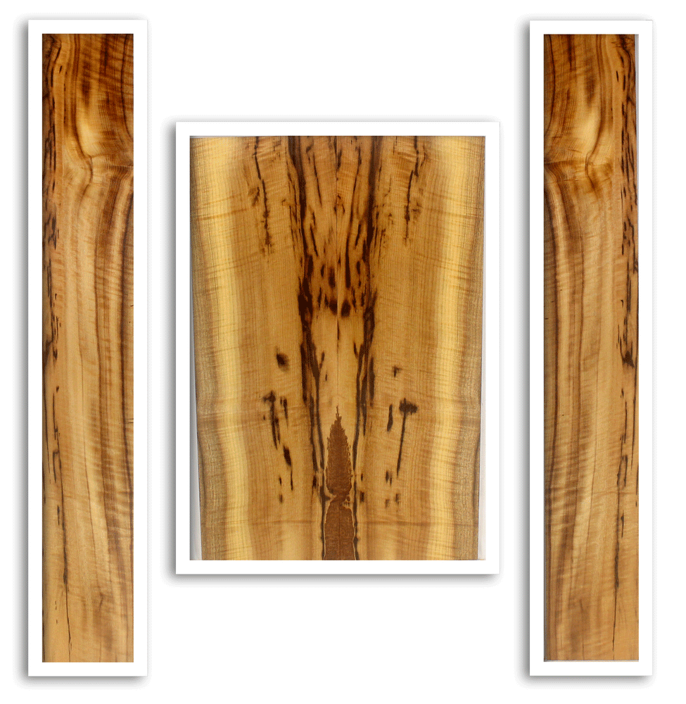 Myrtle Acoustic Back and Sides