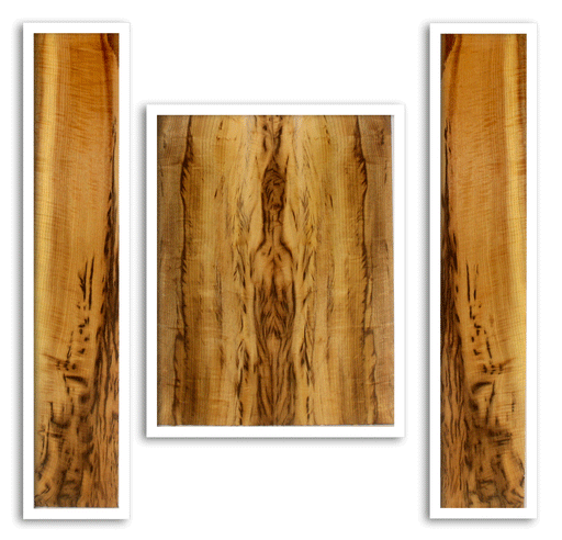 Myrtle Acoustic Back and Sides