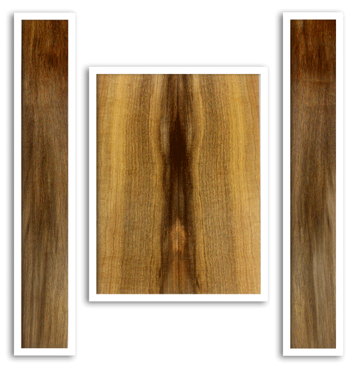 Myrtle Acoustic Guitar Back and Sides