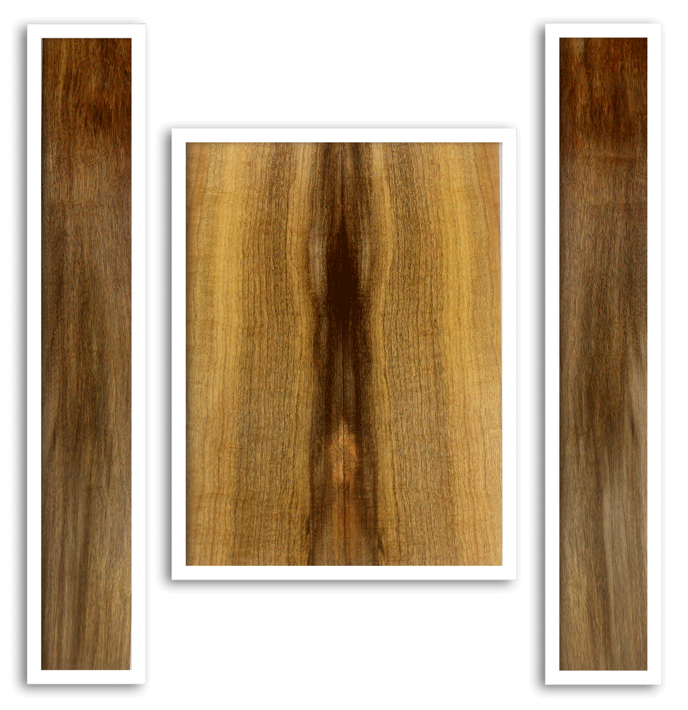 Myrtle Acoustic Guitar Back and Sides