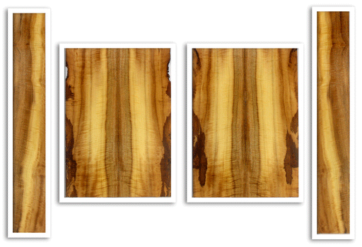 Myrtle Acoustic Top, Back and Sides