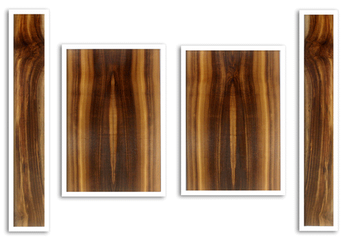 Myrtle Acoustic Guitar Top, Back and Sides