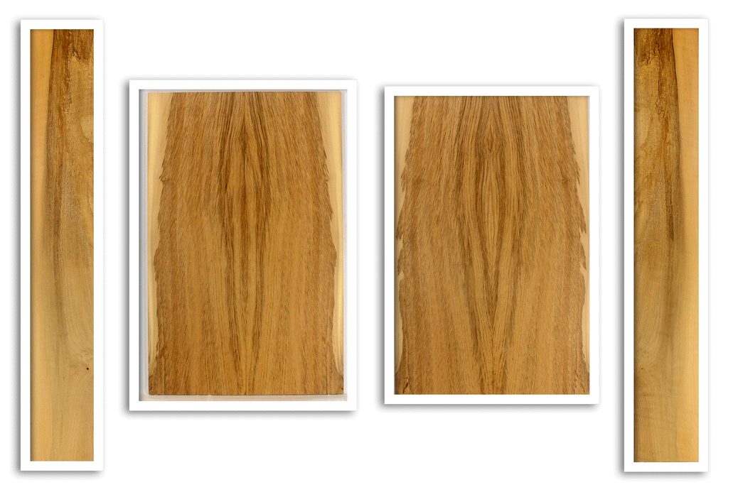 Myrtle Acoustic Guitar Top, Back and  Sides, Dreadnought Size, Excellent Color and Contrast (CI29)