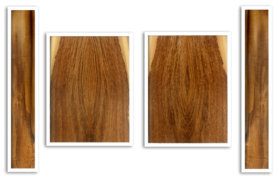 Myrtle Acoustic Top, Back and Sides