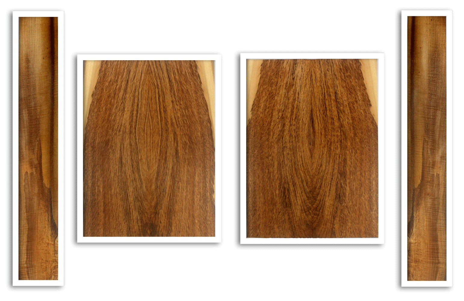 Myrtle Acoustic Top, Back and Sides