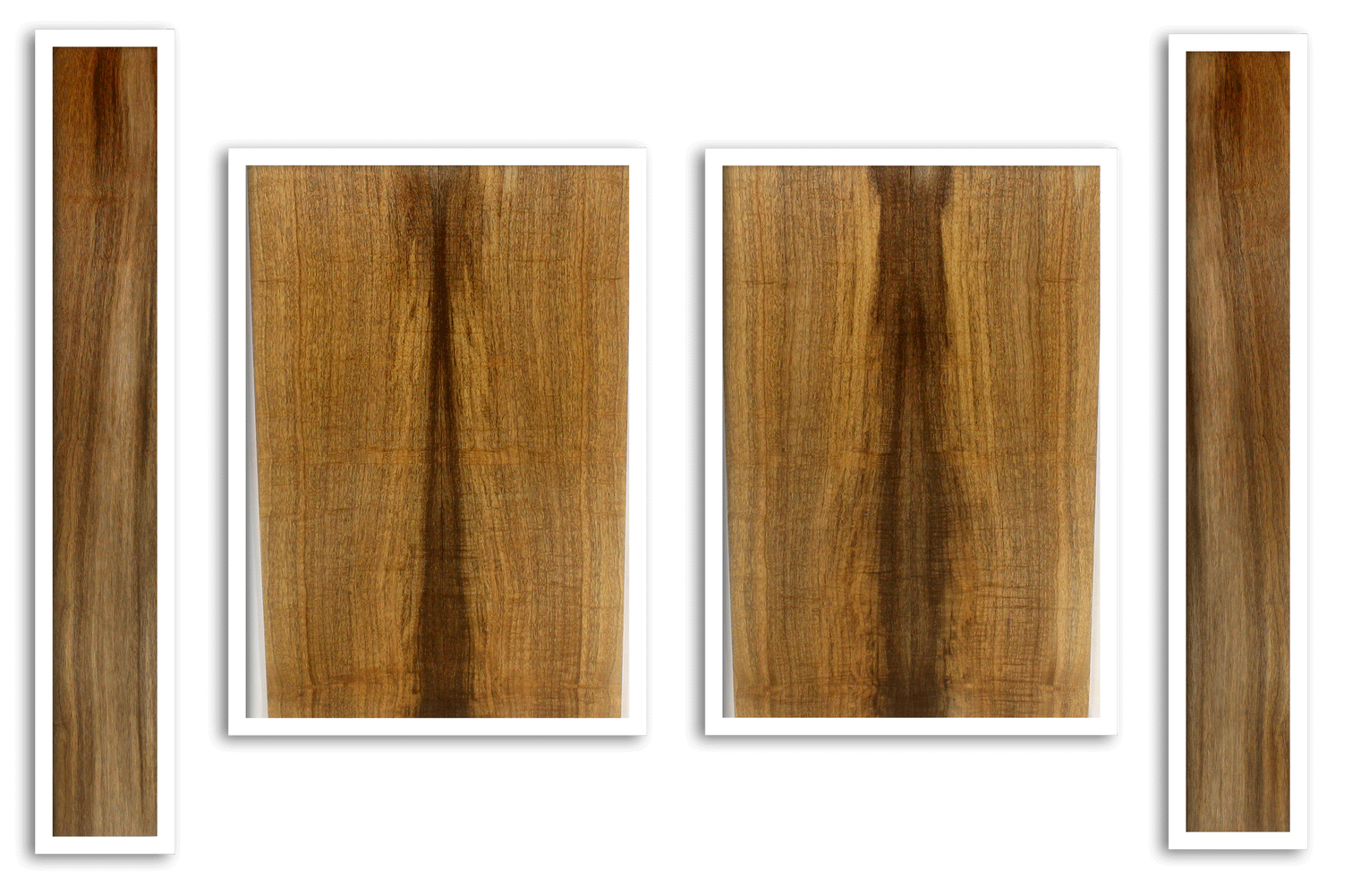 Myrtle Acoustic Top, Back and Sides