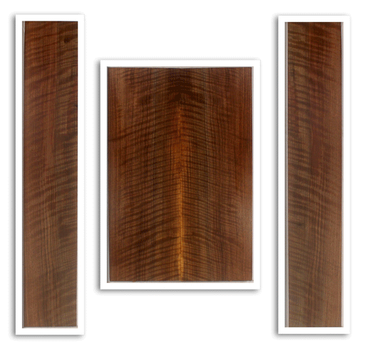 Claro Walnut Acoustic Back and Sides