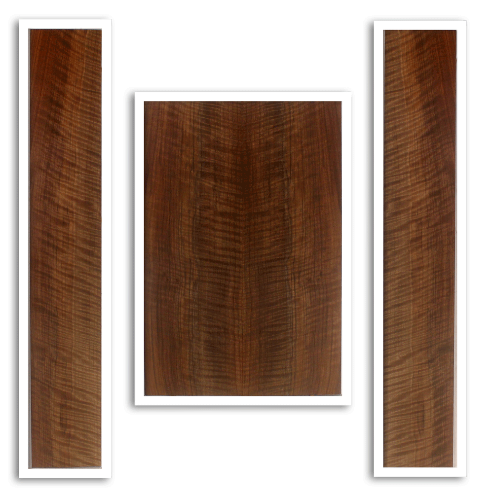 Claro Walnut Acoustic Back and Sides