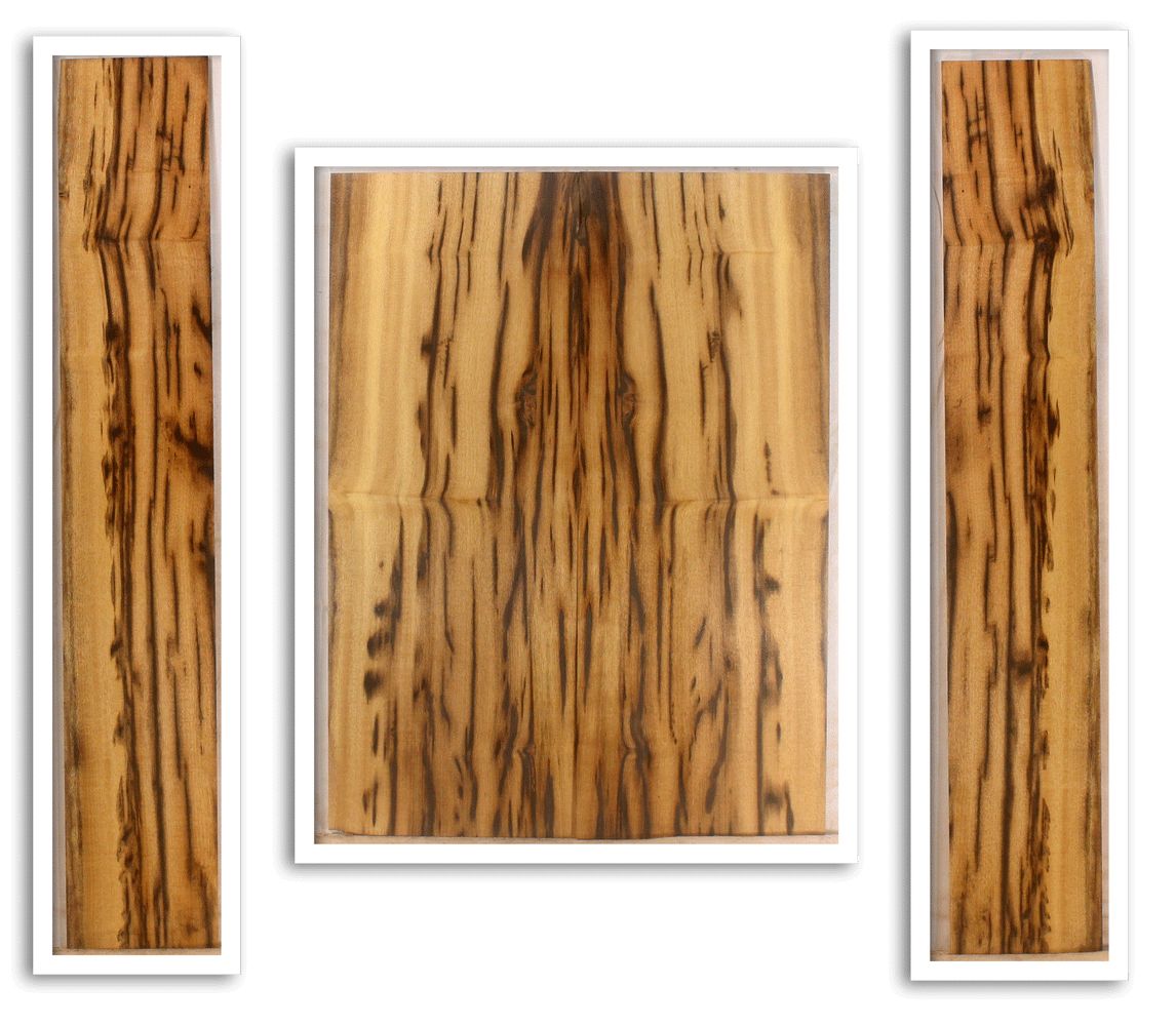 Myrtle Acoustic Guitar Back and Sides
