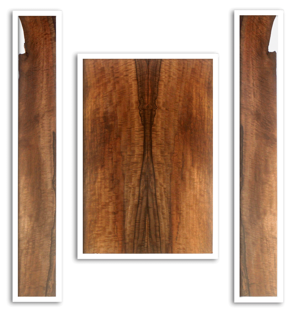 Claro Walnut Acoustic Back and Sides
