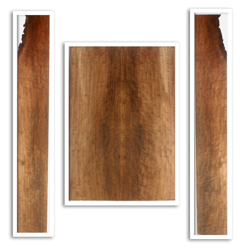 Claro Walnut Acoustic Back and Sides
