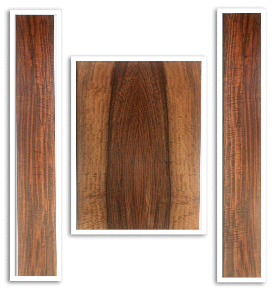 Claro Walnut Acoustic Guitar Back and Sides