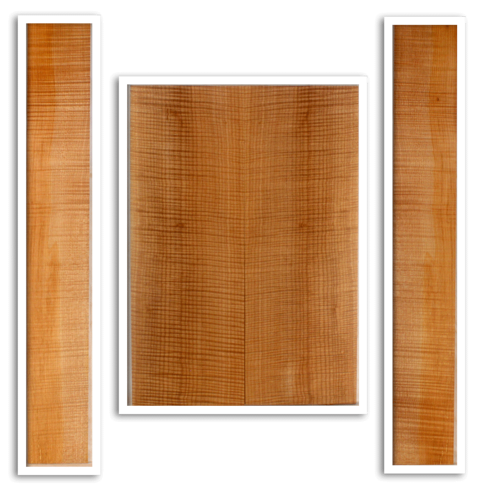 Maple Acoustic Guitar Back and Sides
