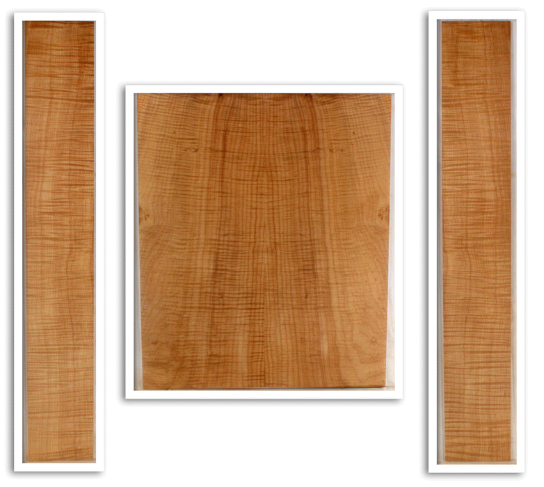 Maple Acoustic Guitar Back and Sides