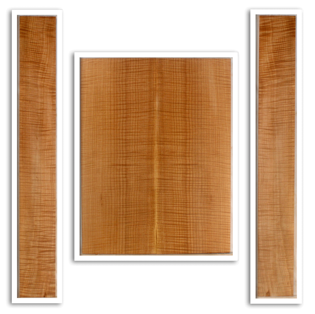 Maple Acoustic Guitar Back and Sides