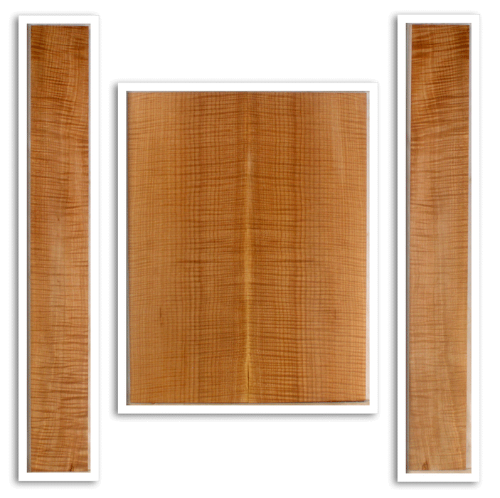 Maple Acoustic Guitar Back and Sides