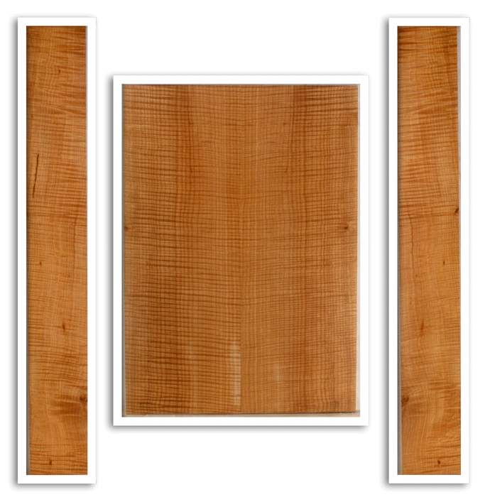 Maple Acoustic Guitar Back and Sides