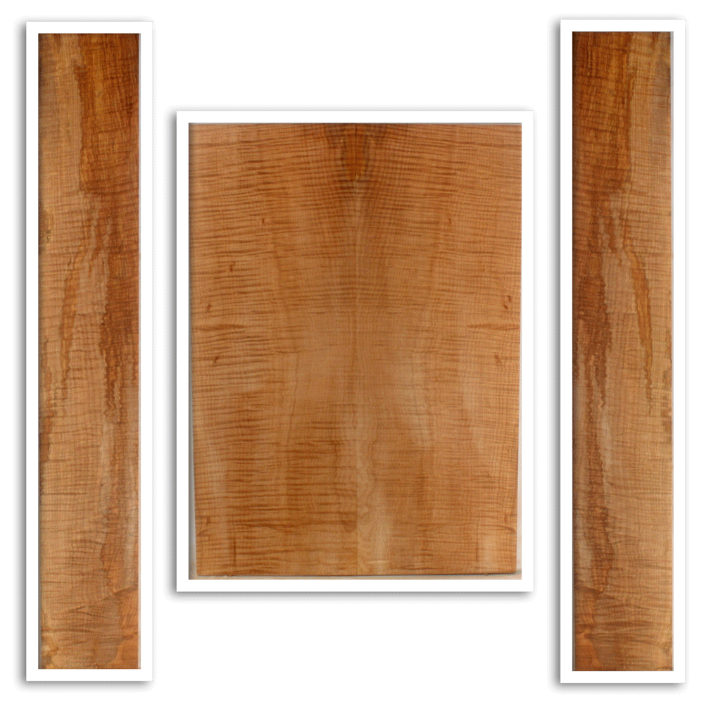 Maple Acoustic Guitar Back and Sides