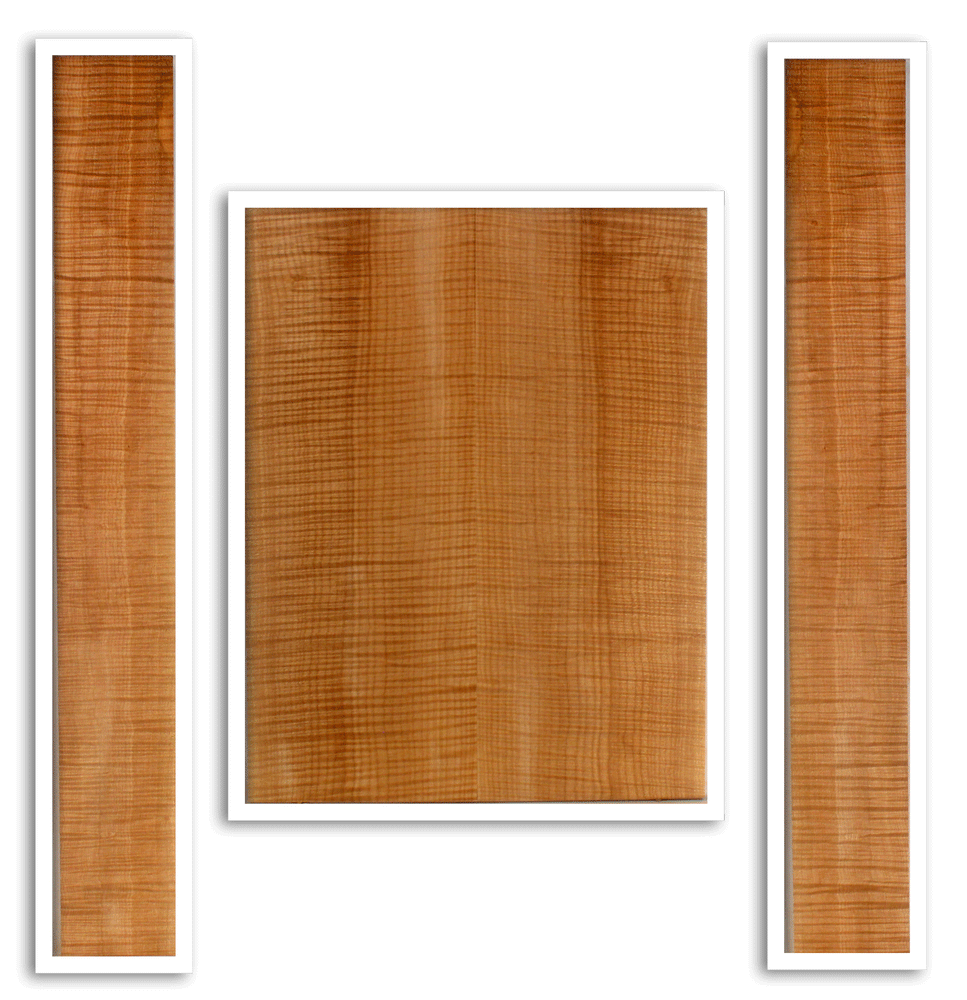Maple Acoustic Guitar Back and Sides