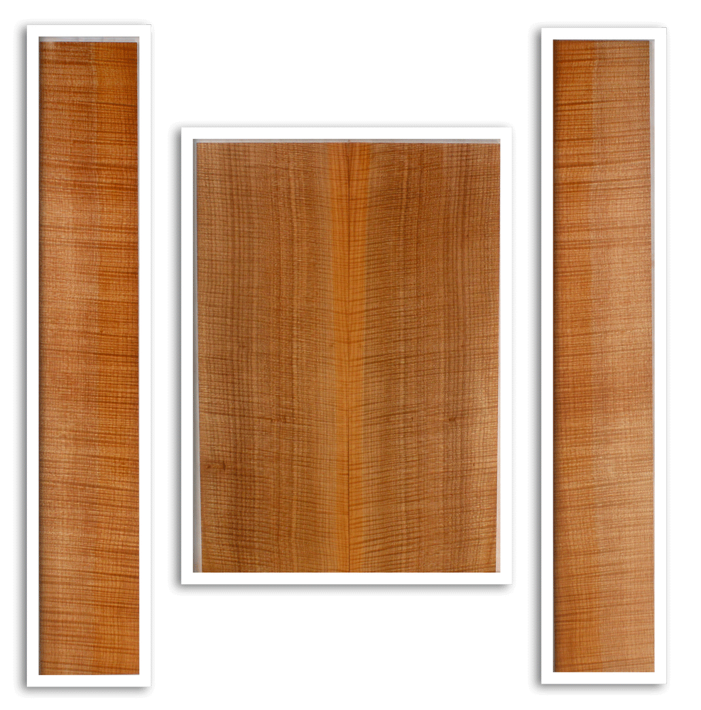 Maple Acoustic Guitar Back and Sides