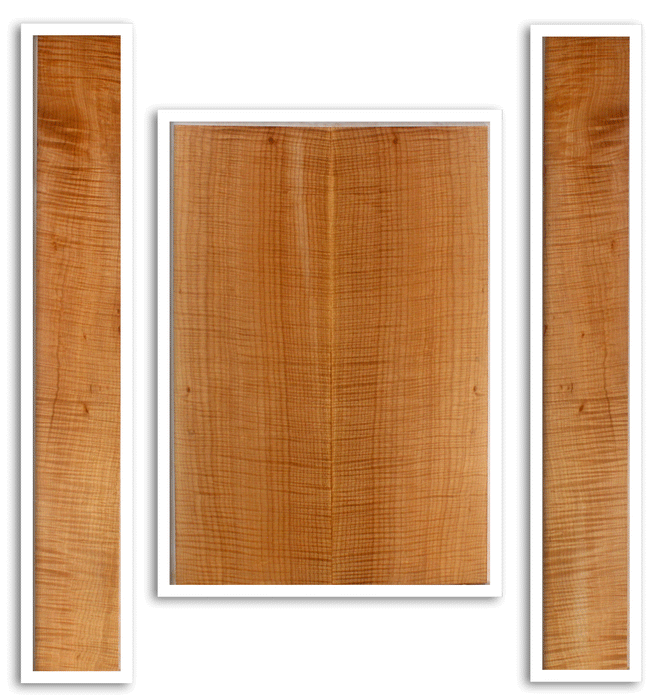 Maple Acoustic Guitar Back and Sides